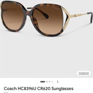 Coach Tortoise and Gold Sunglasses